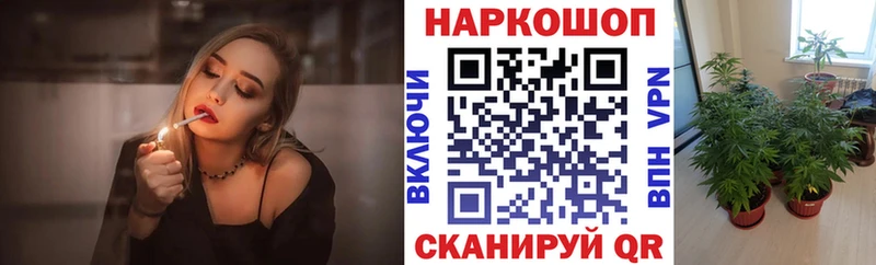Купить наркотик Новоржев Alpha PVP ГАШ Марихуана кракен ONION КОКАИН