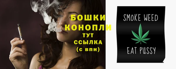 ГАЛЛЮЦИНОГЕННЫЕ ГРИБЫ Верхнеуральск