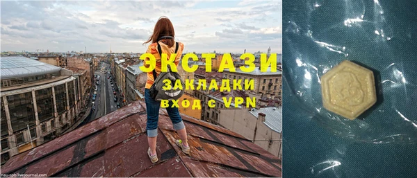 мдпв Верея