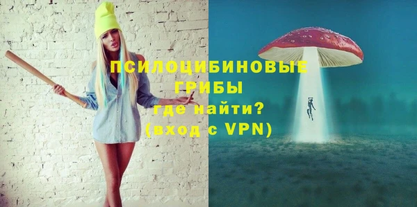 прущие грибы Слюдянка