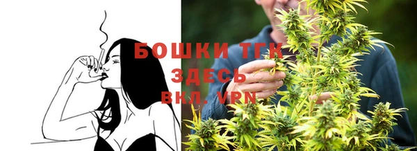 мдпв Верея